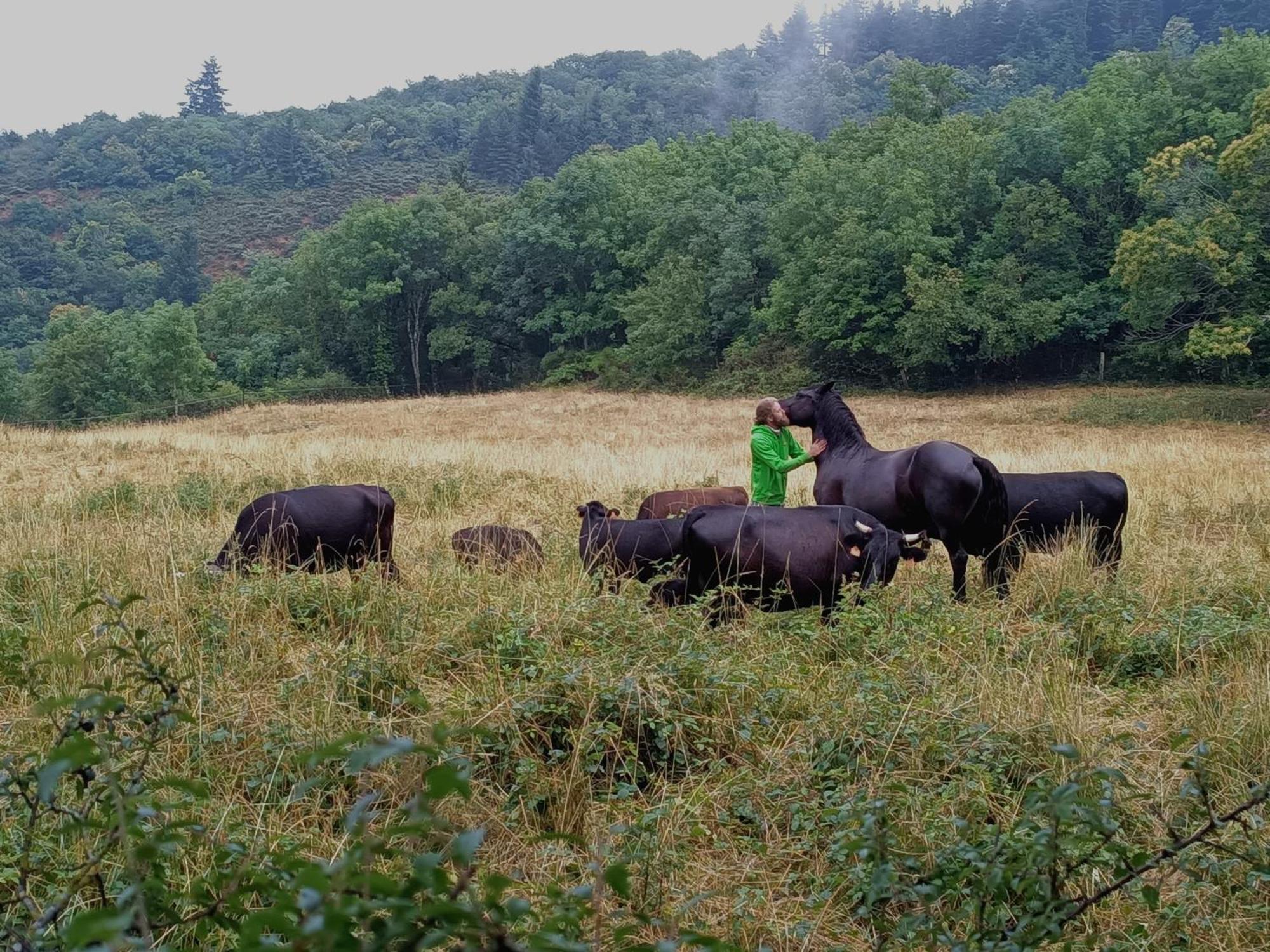 Ferme Les Therondels Saint-Pons-de-Thomieres Zewnętrze zdjęcie