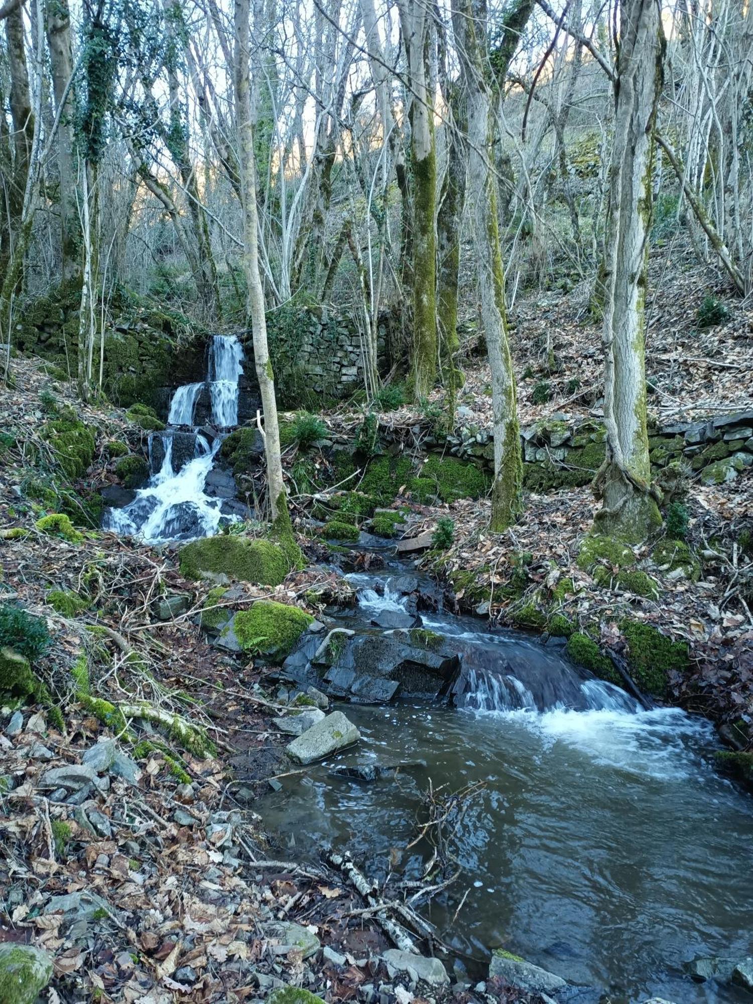 Ferme Les Therondels Saint-Pons-de-Thomieres Zewnętrze zdjęcie