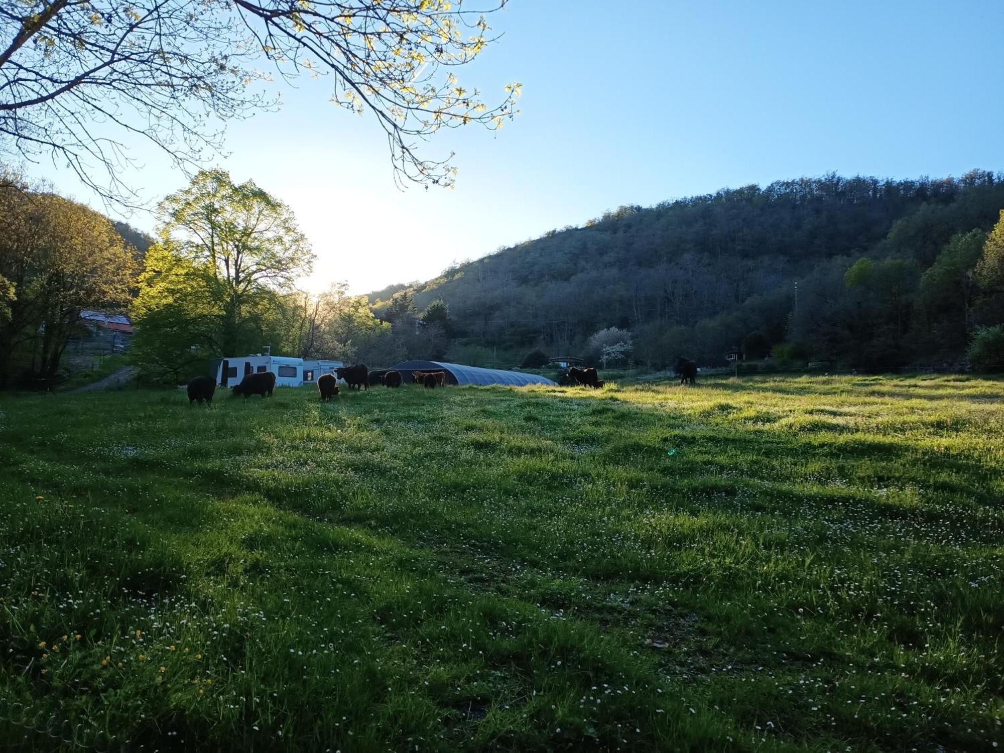 Ferme Les Therondels Saint-Pons-de-Thomieres Zewnętrze zdjęcie